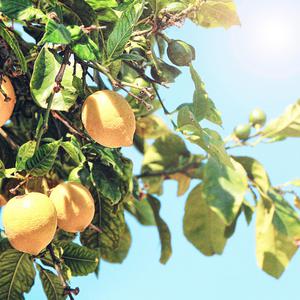 快手抖显熟妇裸舞
